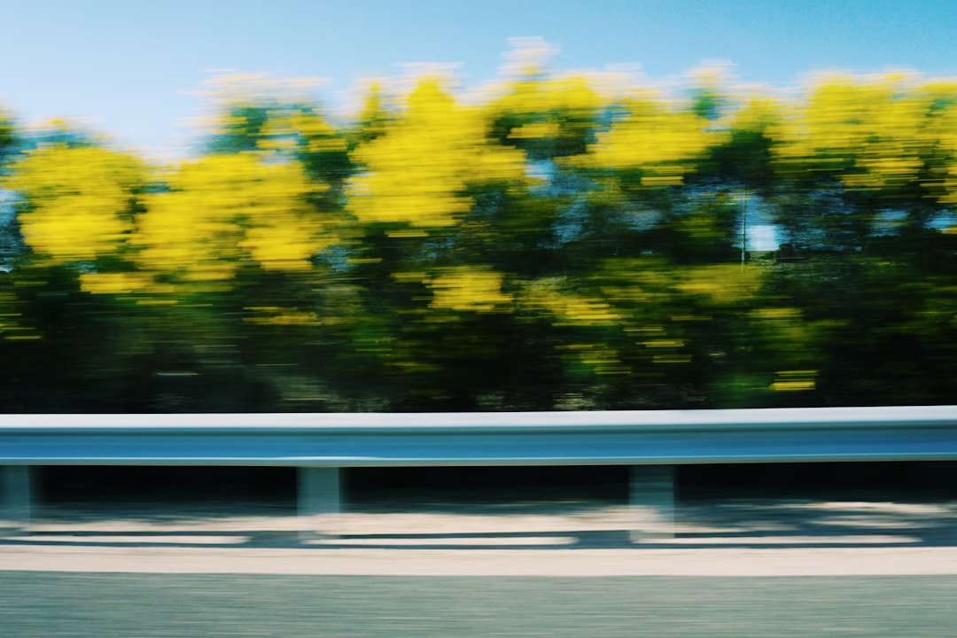 Blurred motion of trees and guardrail along a road.