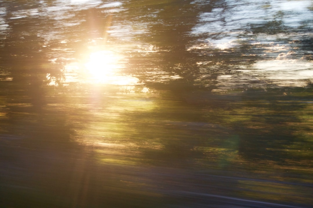 Blurred view of a sunset through trees.