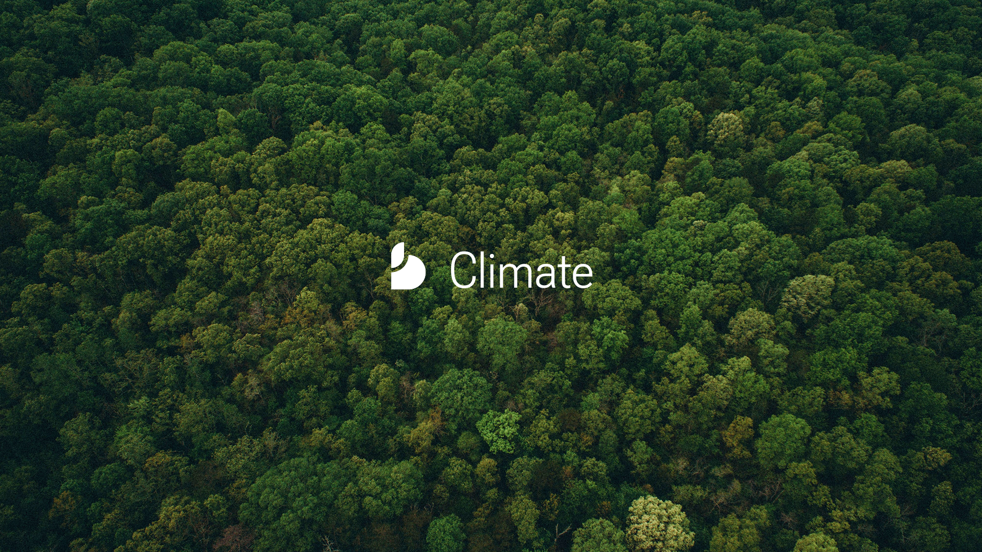 Dense green forest with the word 'Climate' and a logo in the center.