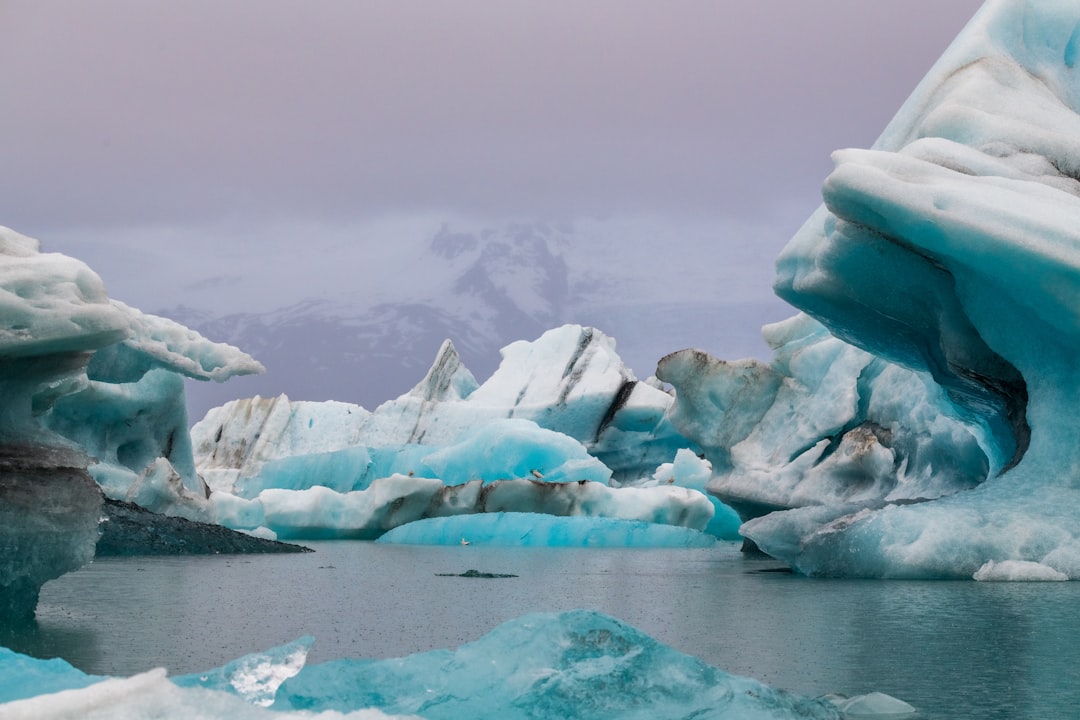 Icebergs floating in a calm body of water.