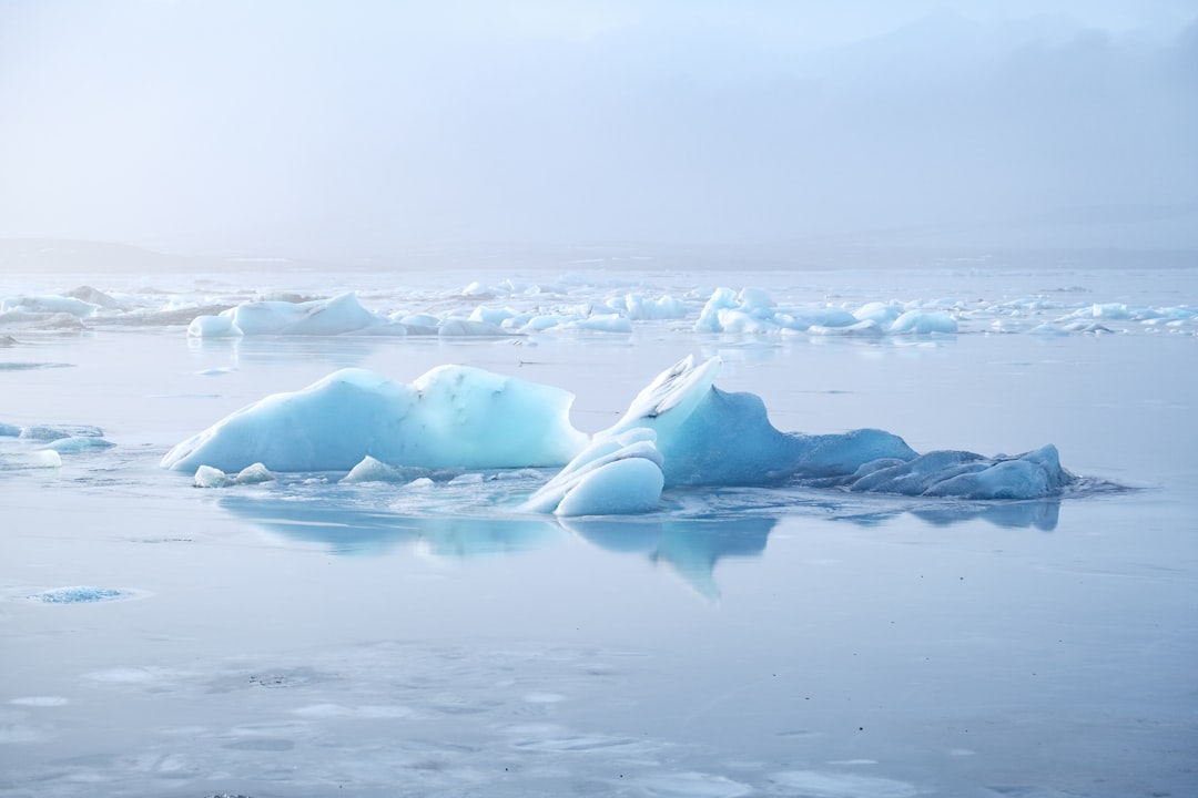 Icebergs floating in a calm, misty sea.