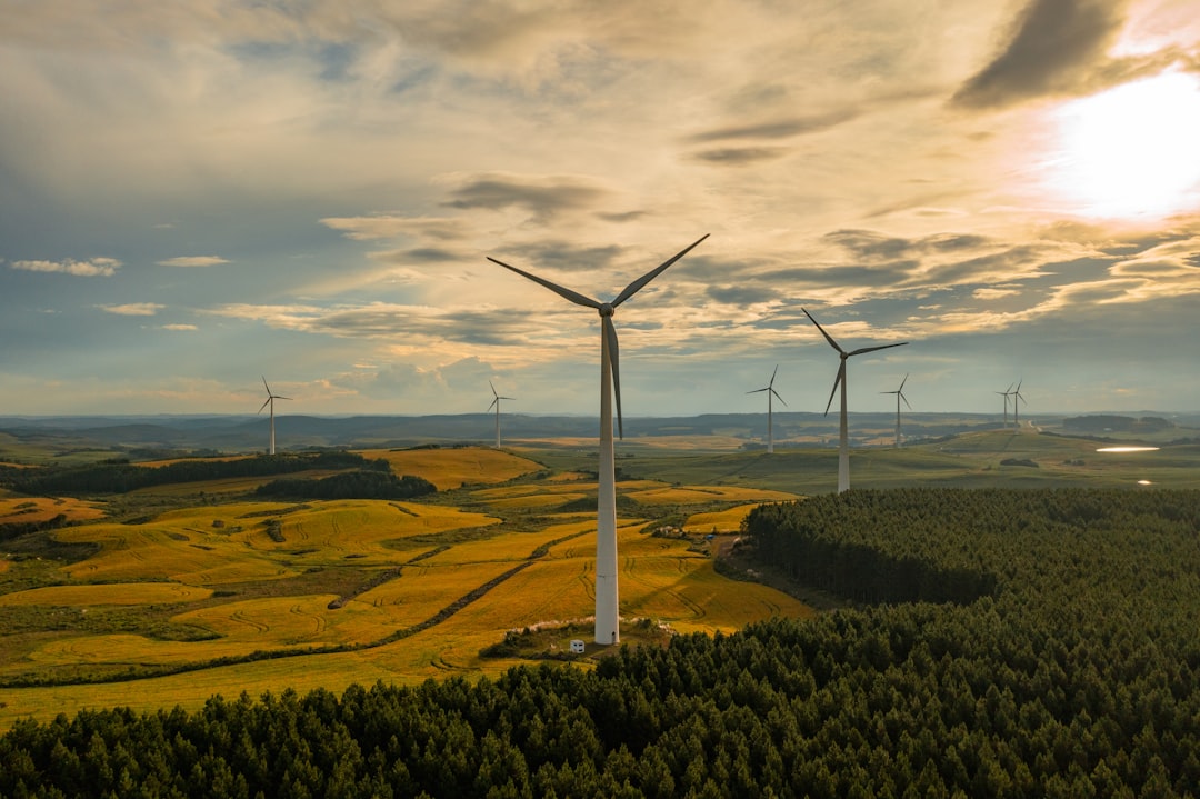 Wind turbines in a rural landscape at sunset.
